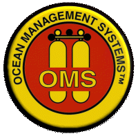 OMS Wings -  I use a Dual Bladder 60lb wing in Red -Superb quality and common sense design