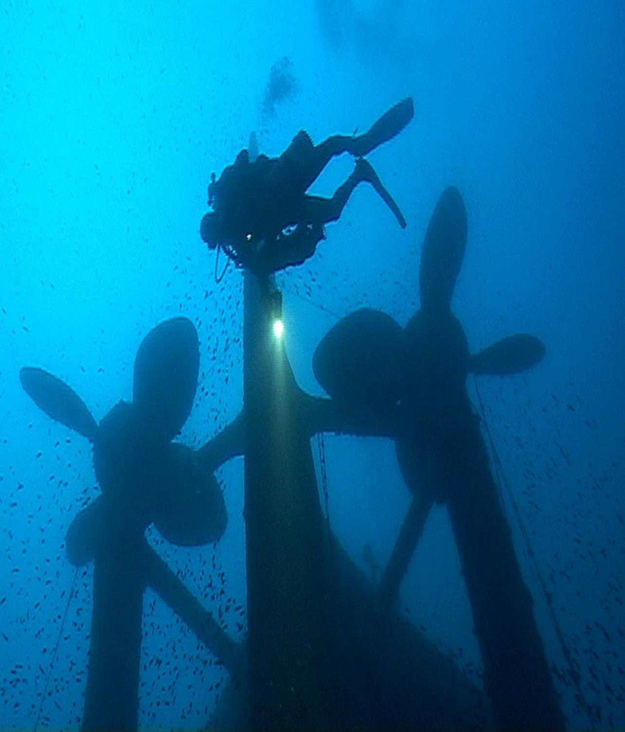 Twin propellors of HMS Victoria